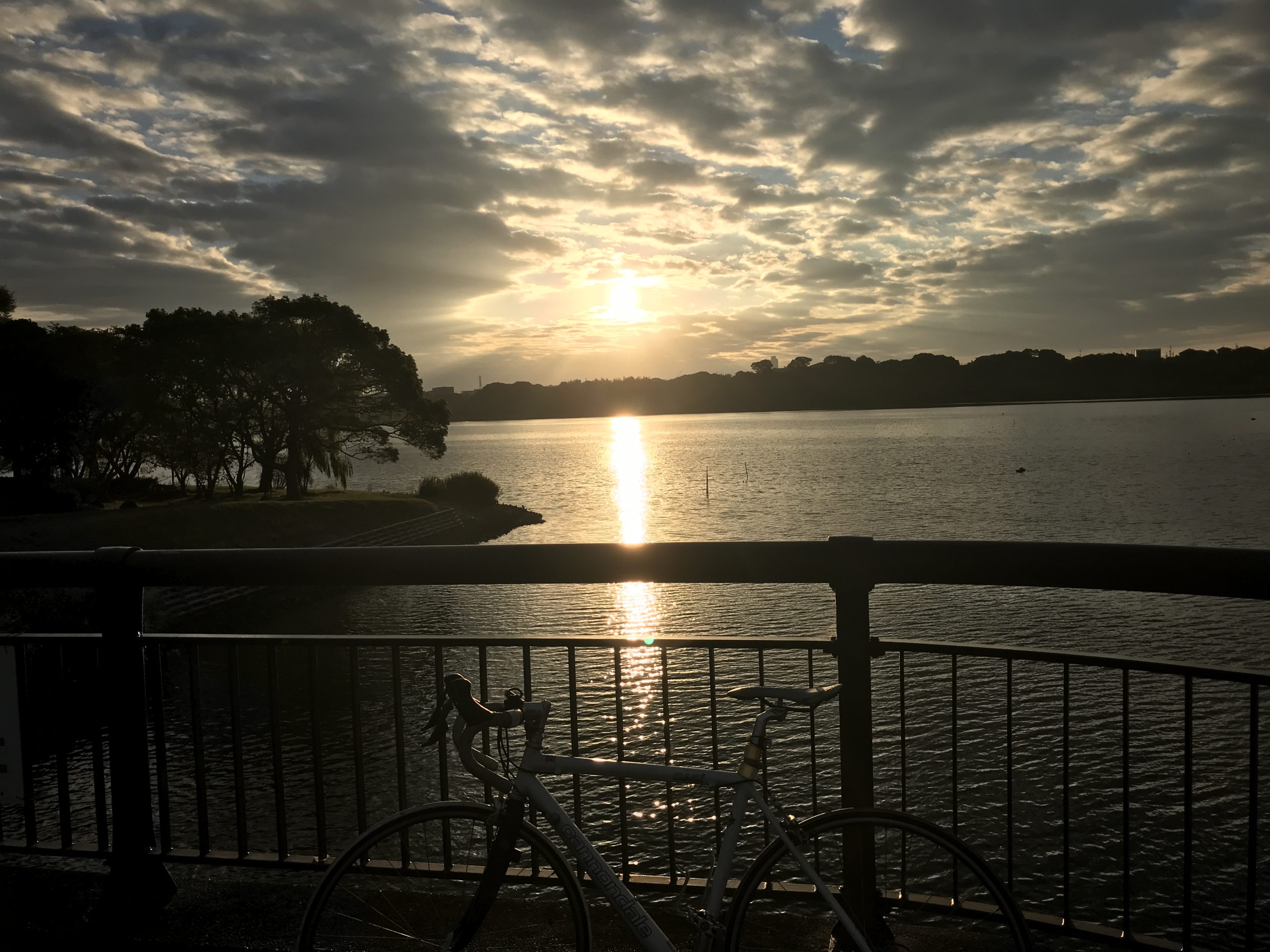 サイクリングの思い出2